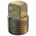 Larsen Supply Co 0.12 in. Male Pipe Thread Brass Square Head Plug, 6PK 208194